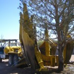 Tree Removal with Spade Truck